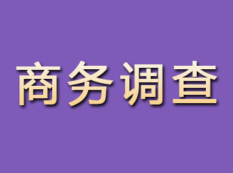 于洪商务调查